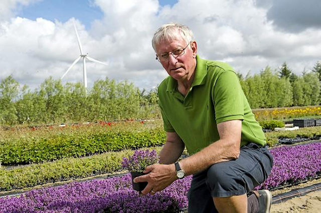Boye Jensen at his plant nursery