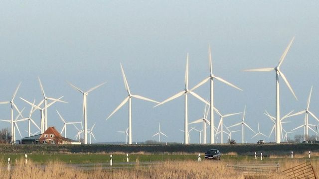 Nissenshörn, Langenhorn, Schleswig-Holstein, Germany