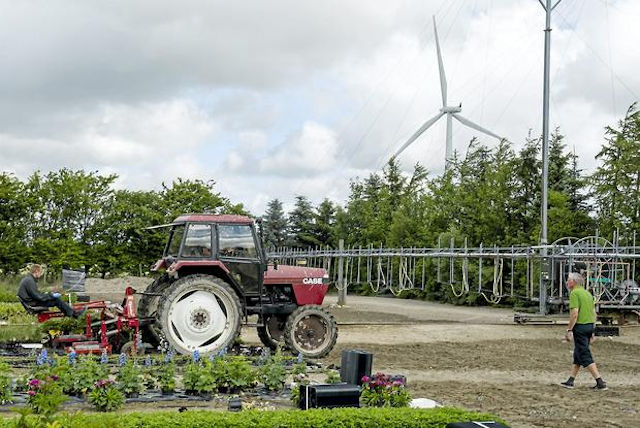 Plant nursery Lammefjordens Stauder near Holbæk